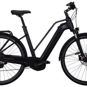 Kettler Quadriga CX 10