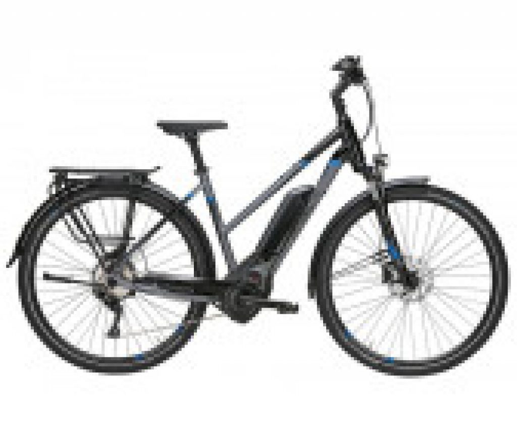 fahrrad e bike test pegasus e10