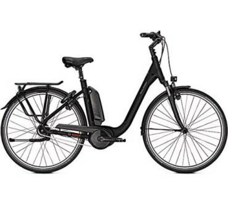 Raleigh Kingston 7R