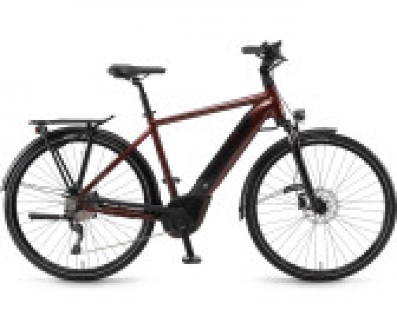Winora Sinus i10